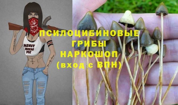 а пвп мука Алзамай