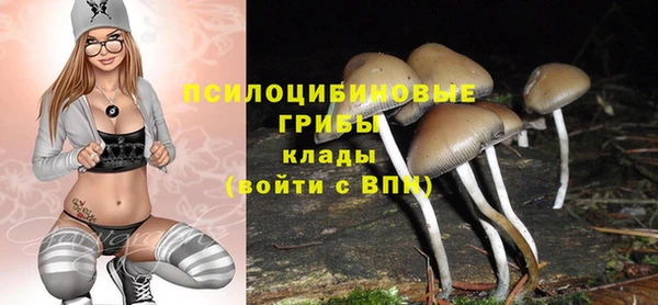 синтетический гашиш Алексин